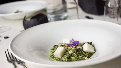 Pesto-Risotto mit Käsewürfeln und Pinienkernen auf weißem Teller