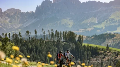 Zwei Personen fahren Mountainbike vor Berglandschaft mit Blumen im Vordergrund