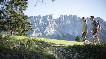 Zwei Wanderer gehen auf einem Weg mit Bergen und Wiese im Hintergrund