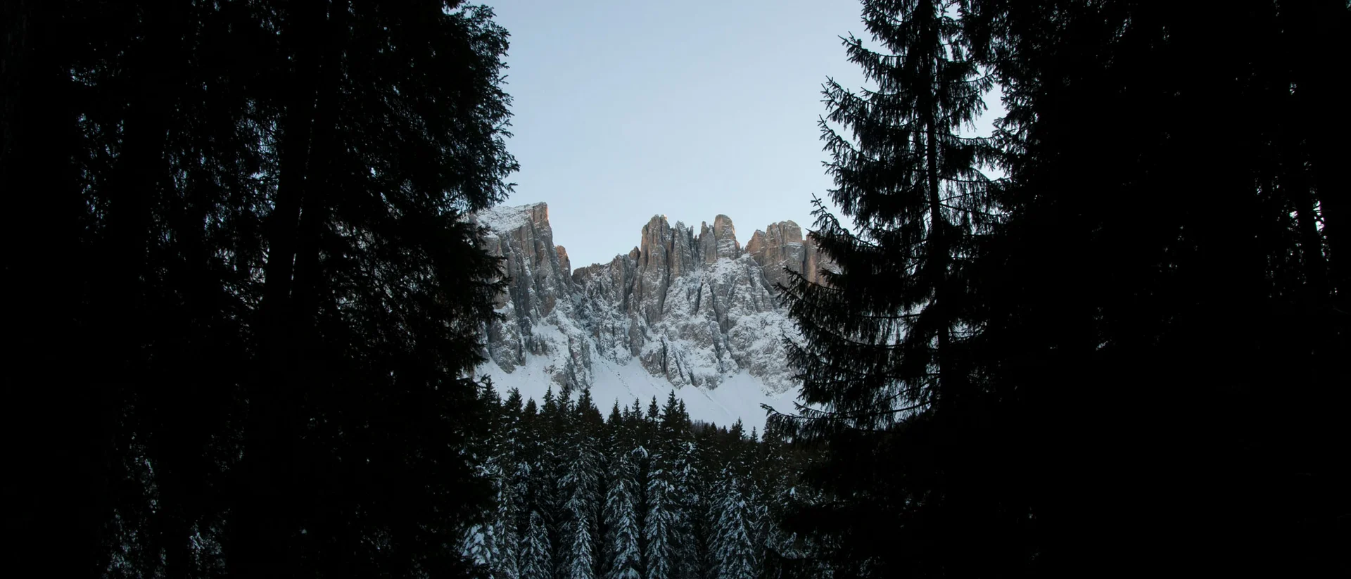Montagne innevate e foresta di conifere con cielo limpido