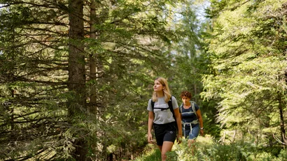 Zwei Frauen wandern durch einen sonnigen Waldweg mit grünen Bäumen